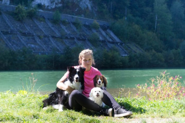Kooikerhondje Österreich